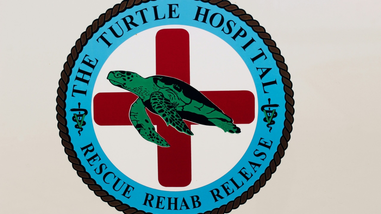 How to Turn Your Logo into a Stunning Custom Patch